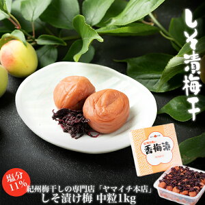 【ふるさと納税】しそ漬け梅 1kg(ポリ容器入り) | 楽天ふるさと 納税 和歌山県 和歌山 白浜町 梅干し 梅干 梅 うめ ご飯のお供 ごはんのおとも ごはんのお供 ご飯のおとも お取り寄せ お