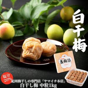 【ふるさと納税】白干し梅  | 楽天ふるさと 納税 和歌山 白浜町 梅干し 梅干 梅 うめ ご飯のお供 ごはんのおとも ごはんのお供 ご飯のおとも お取り寄せ お土産 ギフト プレゼント 漬け物