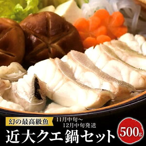 yӂ邳Ɣ[ŁzߑNGZbg ( 500g j肾ۂ|tyIׂzz |   O 񂹃O n nO CN   NG  Ȃ 