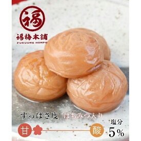 【ふるさと納税】ご家庭用 はちみつ梅干し あまみつ梅 250g 減塩 最高級紀州南高梅 和歌山県産 福梅本舗 | 白浜町 紀州産 減塩 梅干し 甘口タイプ 南高梅使用 フルーツ梅 低塩分 ご飯のお供 ご家庭用 常温保存 ご当地グルメ ふるさと納税