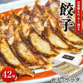 【ふるさと納税】餃子屋玲玲　冷凍餃子セット（ 自家製たれ・ラー油付き ）2箱（1箱 21個入り）約4人前【 餃子はサラダ 】