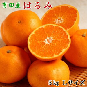 yӂ邳Ɣ[ŁzmIEZnIBLcŶ͂ݖ5kg(LTCY) 2026N1{菇omTM28n | yVӂ邳 [ a̎R a̎R xc ͂ ʕ t[c  