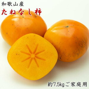 yӂ邳Ɣ[ŁzyH̖oza̎RY˂Ȃ`ƒp7.5kg2025N9{菇yTM11z | yVӂ邳 [ a̎R a̎R xc `  ʕ t[c  ʎ 