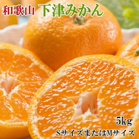 【ふるさと納税】【産直・秀品】和歌山下津みかん約5kg(SサイズまたはMサイズのいずれかをお届け) ★2024年11月中旬頃より順次発送【TM73】