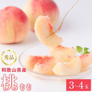 yӂ邳Ɣ[Łza̎RY  3ʁ`4 1kg GimUS54n | a̎R a̎R xc   ʕ  t[c   O yVӂ邳 [ Yi ̕i 