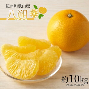 yӂ邳Ɣ[Łzi͂j10kg@IBa̎R 炬Yy2026N2{`2026N2{ɏzyUT19z