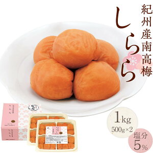 yӂ邳Ɣ[ŁzIBY썂~ ~  500g`1kg  ~ 5% cHi | a̎R IB썂~ 썂~ ~ ~ ~   T т̂