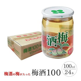 【ふるさと納税】ワンカップ 梅酒100ml（梅酒90ml、梅実10ml） ×24本 | お酒 さけ 人気 おすすめ 送料無料 ギフト