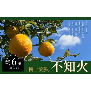 yӂ邳Ɣ[Łzsm 󏭂Ȏ㊮nI Gi 6 (2kg)@y2026N2{`4{܂ŔzyKT2z | t[c ʕ  Hi lC  