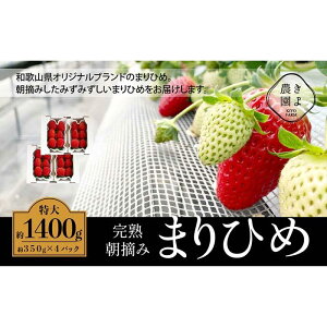 yӂ邳Ɣ[Łz܂Ђ߃C`S E 6`11×4pbNm2026N1{蔭nms\nmKT4n |   t[c ʕ  Hi lC  