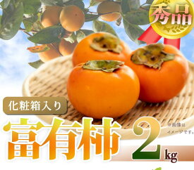 【ふるさと納税】和歌山秋の味覚　富有柿　約2kg化粧箱入「2024年11月上旬以降発送予定」【UT49】 | 和歌山 和歌山県 上富田町 返礼品 支援 お取り寄せ ご当地 お土産 柿 かき カキ 特産品 名産品 果物 くだもの フルーツ 食品 食べ物 美味しい おいしい お礼の品