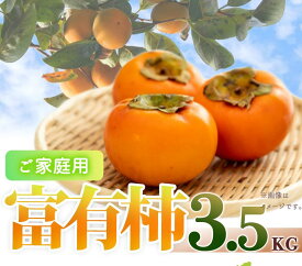 【ふるさと納税】［ご家庭用わけあり］和歌山秋の味覚　富有柿　約3．5kg　「2026年11月上旬以降発送予定」［UT51］ | 納税 和歌山県 和歌山 上富田町 訳あり 食品 ワケあり ワケアリ 柿 かき カキ 果物 フルーツ くだもの 果実 お取り寄せ 食べ物 たべもの 自宅用 特産品