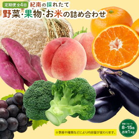 【ふるさと納税】【年4回お届け（3・6・9・12月）】紀南の採れたて野菜・フルーツ定期便（春・夏・秋・冬）8〜15品目詰め合わせ