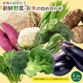 【ふるさと納税】紀南の採れたて新鮮野菜・お米詰め合わせセット（8～12品目詰め合わせ）