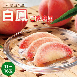 yӂ邳Ɣ[Łza̎RY P  11`16ʓ 󂠂 ƒp ʌm2026N6{ȍ~nmMG91n | yVӂ邳 [ x      ʕ  t