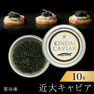 �y�ӂ邳�Ɣ[�Łz�ߑ�L���r�A10g×1��