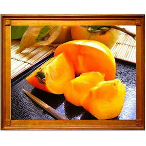 yӂ邳Ɣ[Łẑꂽă^lȂ`gLTCYh7.5kg2025N10{`10{\聄yART17z | t[c ʕ  Hi lC  