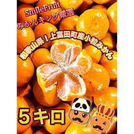 【ふるさと納税】【先行予約】小粒みかん5Kg　高糖度！みかんの里！【SmileFruitみかんキング厳選】2024年10月下旬以降順次発送 | 果物 くだもの フルーツ 旬の果物 旬の味覚 食べ物 食品 柑橘 柑橘類 かんきつ類 みかん ミカン 蜜柑 お取り寄せ 美味しい おいしい