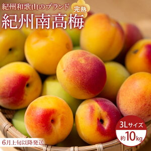 �y�ӂ邳�Ɣ[�Łz�y2026�N6����{�ȍ~�����z�I�B�썂�~(���n�~) 2�`10kg�qL�`3L�T�C�Y�r | ��x�c�� �I�B�Y ���n�~ ���嗱 �t���[�c �_�� �T���� �W���[�V�[ �~�d�� �~�� �~�V���b�v �l�C ������