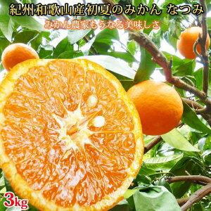 yӂ邳Ɣ[ŁzĂ݂̂@Ȃ3kgm2026N4{ȍ~nms\nmUT56n