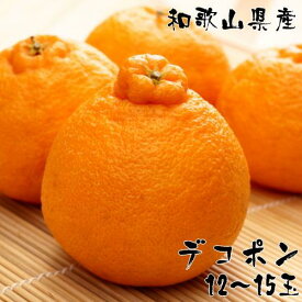 【ふるさと納税】和歌山有田の濃厚大玉デコポン 12～15玉 約5kg［先行予約］［MS79］ | フルーツ 果物 くだもの 食品 人気 おすすめ 送料無料