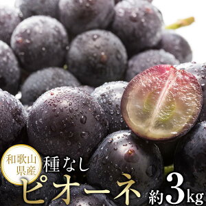 yӂ邳Ɣ[ŁzyVNEYza̎R炬Y˂ȂsI[l1.2kg^2kg^3kg 2025N8{菇 | a̎R xc sI[l Ȃ  Ԃǂ uhE ʕ t