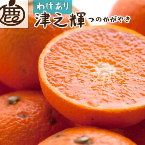 yӂ邳Ɣ[Łzms\nƒp ÔVP2.5kg+250giݕ⏞jm󂠂nm̂₫nmƂɎknmIKE58n | t[c ʕ  Hi lC   a
