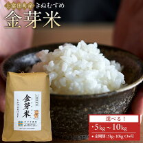 楽天市場】きぬむすめ 玄米 30kgの通販
