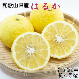 【ふるさと納税】［さわやか柑橘］和歌山県産はるかみかん約4.5kg（サイズ混合　ご家庭用）★2026年2月下旬頃より順次発送［TM161］ | はるか フルーツ 果物 くだもの 食品 人気 おすすめ 送料無料