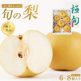 【ふるさと納税】先行予約 旬の梨 極上 秀品（中玉～大玉）6～8個入り ［2026年8月下旬頃～9月下旬頃発送］［KG23］ | 上富田町 旬の梨 極上 秀品 フルーツ 果物 人気 おすすめ 秋の味覚 贈答用 送料無料 ふるさと納税