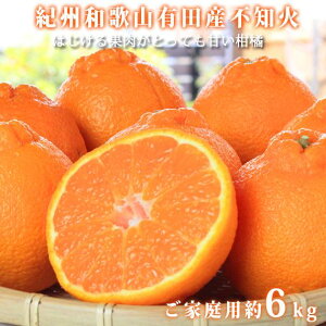 yӂ邳Ɣ[Łzmƒp󂠂nIBLcYsm(ʂ) 6kgm2026N2{ȍ~nms\nmUT136n | t[c ʕ  Hi lC  Yn 