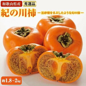 【ふるさと納税】【希少】紀の川柿約1.8〜2kg(種無し)秀選品★2025年10月中旬頃より順次発送【TM191】 | 楽天ふるさと 和歌山 上富田町 柿 かき カキ 果物 フルーツ くだもの 果実 お取り寄せ