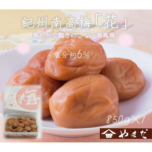 yӂ邳Ɣ[ŁzyIׂeʁz IB썂~ uԁv 6 500g or 850g mYM7n | ~ ~ Hi HHi lC  