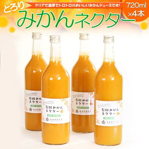 yӂ邳Ɣ[ŁzƂ@݂lN^[720ml×4{mIKE227n | t[c ʕ  Hi lC  