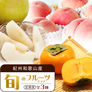 yӂ邳Ɣ[Łzy7E8E10 S3zIBa̎RY{̃t[cZbgiEEЂ炽˂Ȃ`j yߏXzyUT68z | t[c ʕ  Hi lC  