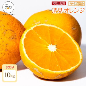 yӂ邳Ɣ[ŁzyIׂeʁETCYz s\ 󂠂 X{_̎I IW2kg`10kg a̎RY TCY mkCEEzsn | ݂  t[c ʕ 