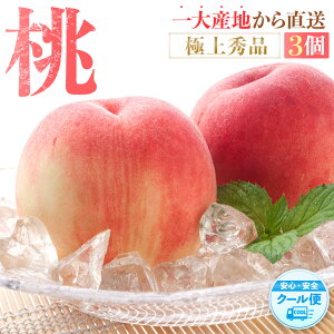 yӂ邳Ɣ[Łz ɏGi Hׂ₷3 ms\nm2026N6{菇n_ƌIImKG1n |  t[c ʕ  Hi lC  