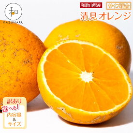 【ふるさと納税】【選べる容量・サイズ】 先行予約 訳あり 森本農園の手選別 清見オレンジ2kg～10kg 和歌山県産 サイズ混合 ［北海道・沖縄・離島配送不可］ | 上富田町 清見オレンジ 訳あり 森本農園 サイズ混合 柑橘 フルーツ 春の味覚 人気 おすすめ 果物 ふるさと納税