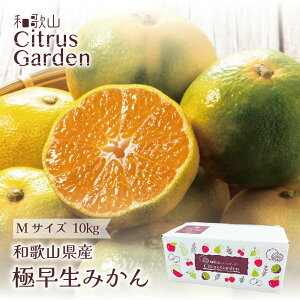 yӂ邳Ɣ[ŁzyIׂTCYEeʁza̎RY ɑ݂ ƒp ʁ`LTCY 3`10kg | ݂  t[c ʕ  Hi lC   Yn