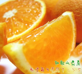 【ふるさと納税】【選べる容量】有田育ちの 完熟 清見 オレンジ（ご家庭用）約1.5～10kg［先行予約］ | オレンジ フルーツ 果物 くだもの 食品 人気 おすすめ 送料無料 産地直送