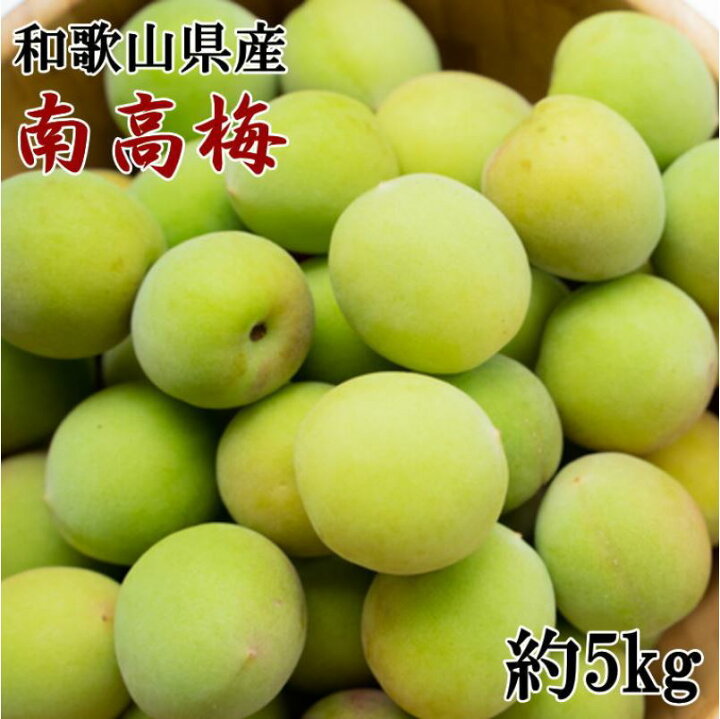 楽天市場】【ふるさと納税】［和歌山名産］南高梅約5kg（サイズ混合 