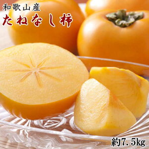 yӂ邳Ɣ[Łza̎RY˂Ȃ`iTCY܂j7.5kgEGi2025N10菇mTM10n | a̎R a̎R xc ԗi x  n yY `  JL 