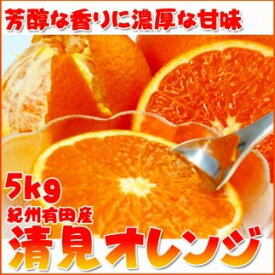【ふるさと納税】とにかくジューシー清見オレンジ　5kg【2025年3月下旬以降発送】【先行予約】【UT53】 | 和歌山 上富田町 返礼品 お取り寄せ ご当地 清見オレンジ 清見 オレンジ みかん ミカン 特産品 フルーツ 柑橘 柑橘類