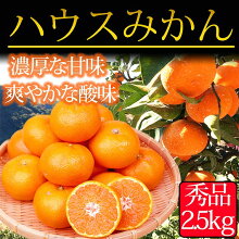 高級柑橘　温室せとか　秀3L品　10個入り