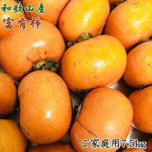 yӂ邳Ɣ[Łza̎RYxL`ƒp7.5kg2025N11{菇yTM6z | yVӂ邳 [ a̎R a̎R xc xL` `  JL ʕ t[c  ʎ 