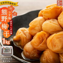 楽天市場】南高梅 完熟 3l 5㎏の通販