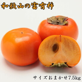 【ふるさと納税】[甘柿の王様]和歌山産富有柿　約7.5kg サイズおまかせ★2026年11月中旬頃より順次発送［TM5］ | 和歌山県 和歌山 上富田町 富有柿 柿 かき カキ 果物 フルーツ くだもの 果実 お取り寄せ 食べ物 食品 たべもの 特産品 ご当地 美味しい おいしい
