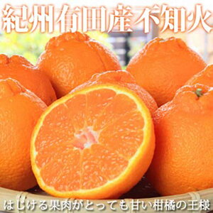 yӂ邳Ɣ[ŁzIBLcYsm(ʂ) 5kgm2026N2{ȍ~nms\nmUT40n | yVӂ邳 [ sm ʕ t[c  k k 񂫂 񂫂 