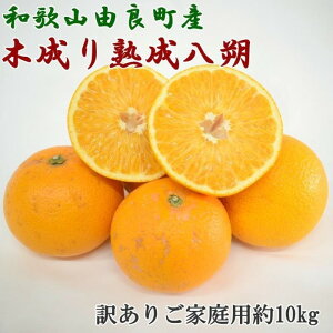 yӂ邳Ɣ[ŁzmYna̎RRǒY̖ؐn󂠂育ƒp10kgiTCYj2026N3{菇mTM134n | a̎R xc ͂  󂠂 P 