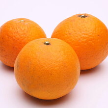 【ふるさと納税】＜2月より発送＞厳選きよみオレンジ4.7kg+141g（傷み補償分）【光センサー選果】【樹上完熟清見オレンジ・清見タンゴール・清美】